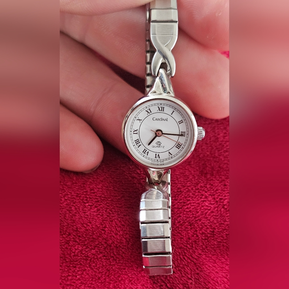 Womens Cardinal Stainless Steel Watch With Stretchy Band
